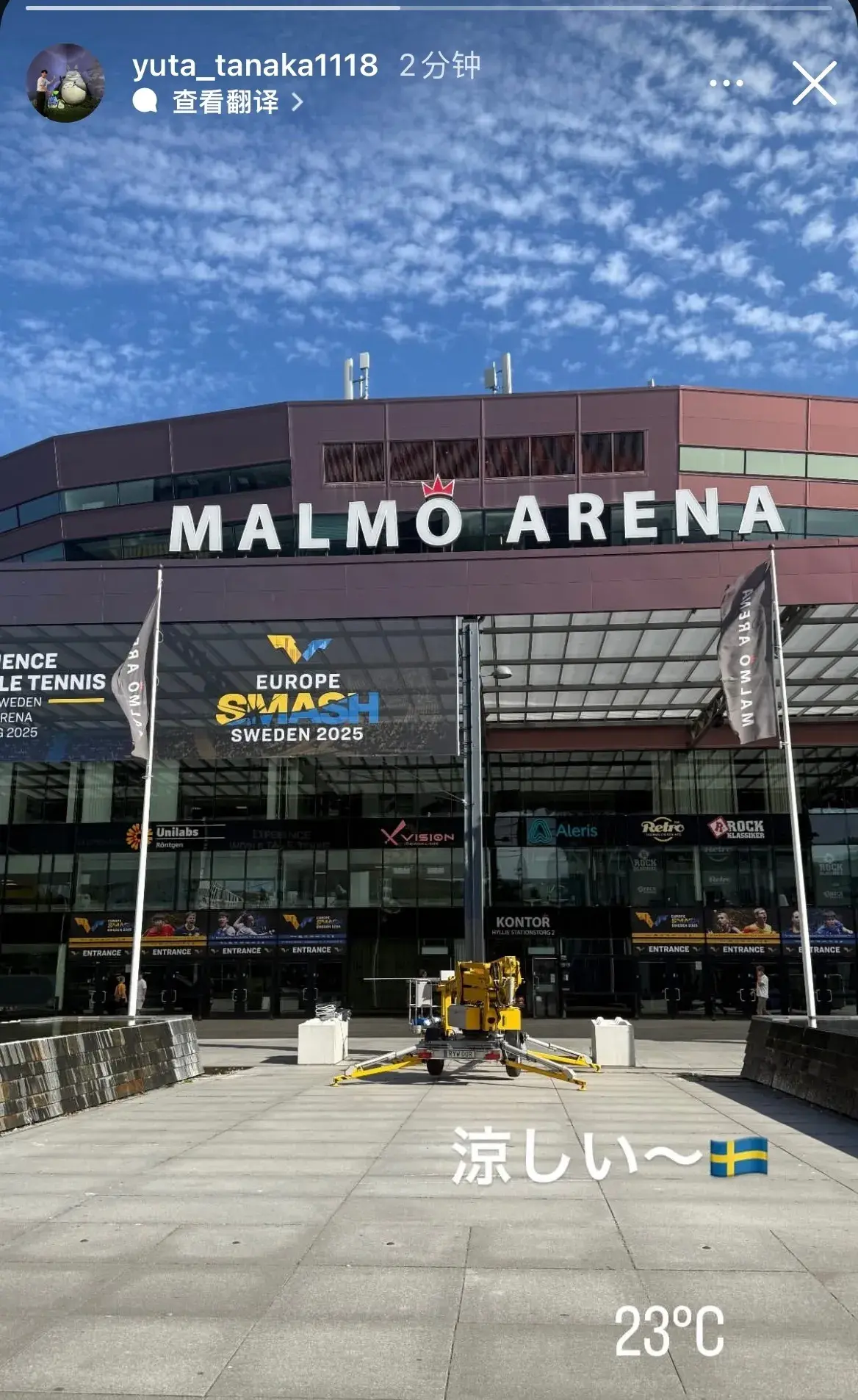 本的金花, img, alt