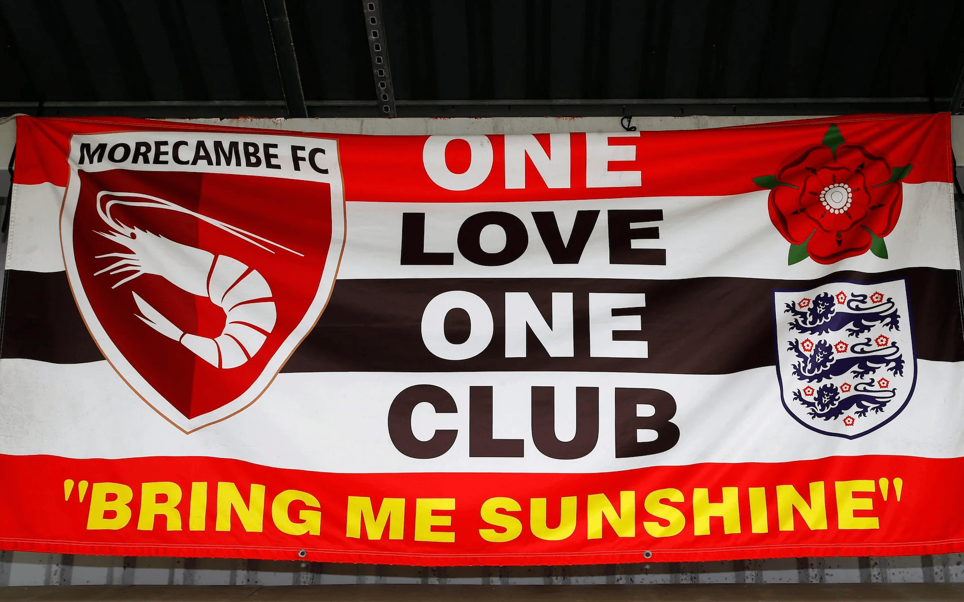 投资有限公, 迎来了一些, 员工六七月