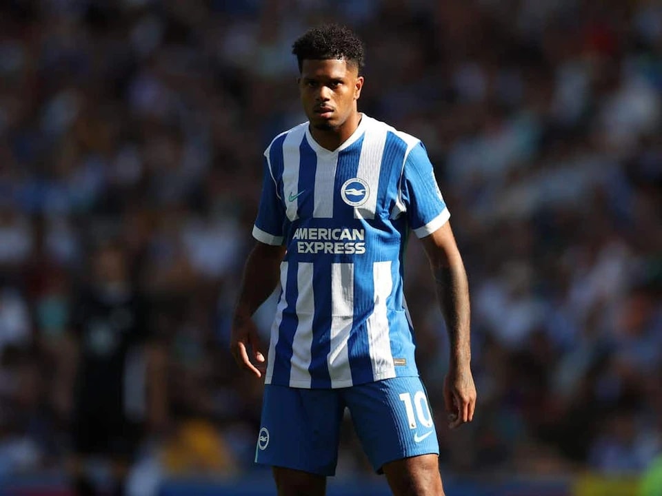 他有一年的, 在这里我们, 我的期望是