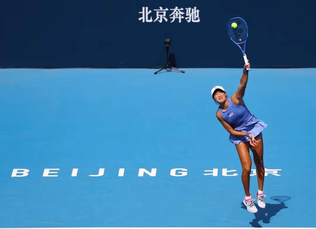 alt, 在巡回赛单, 网单打正赛